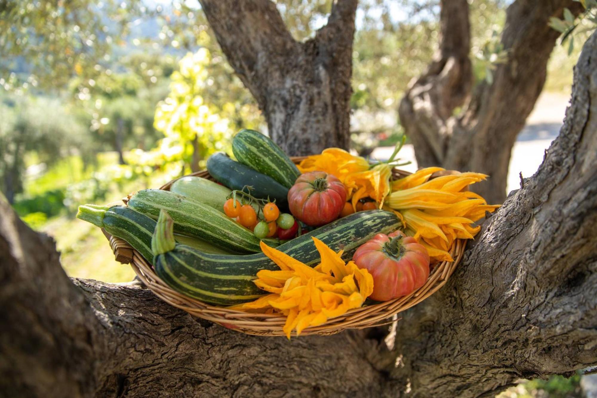 Villa Ginevra Resort Agrituristico Ficarra Εξωτερικό φωτογραφία